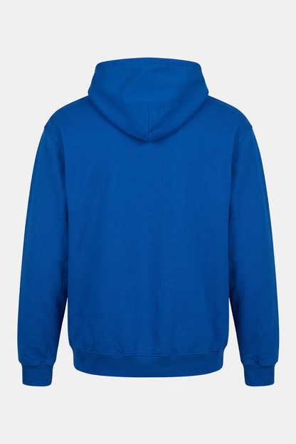 HOODIE upcycled hand painted